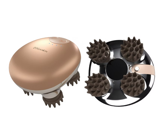 ゾーガンキンスカルプ